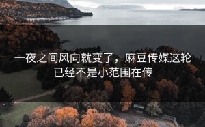 一夜之间风向就变了，麻豆传媒这轮已经不是小范围在传