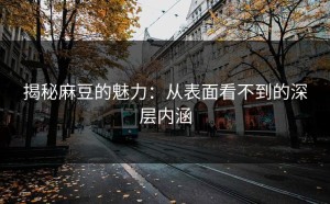 揭秘麻豆的魅力：从表面看不到的深层内涵